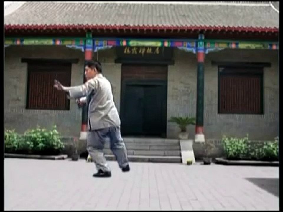 28 Form Yang Tai Chi Chuan (back view)
