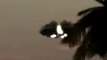 Unidentified Flying Object   Nov 14 2007 UFO