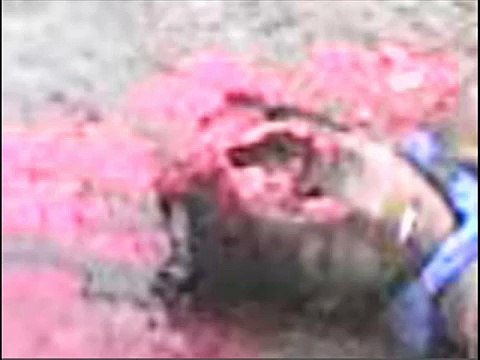 ABC Be Fair - A Technical Analysis of Killing Fields (2011) - Independent Expert