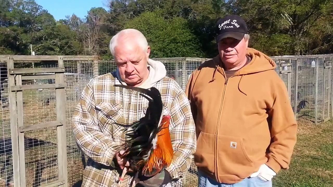 Bruce Barnett holding a "Pure Sweater Stag"