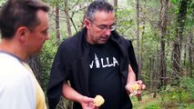 Mushroom Foraging in Spain - Forrajeo setas en España