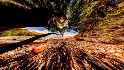 SUP Surfing Sessions: Dogman