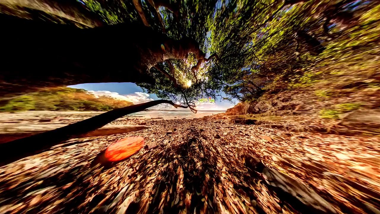 SUP Surfing Sessions: Dogman