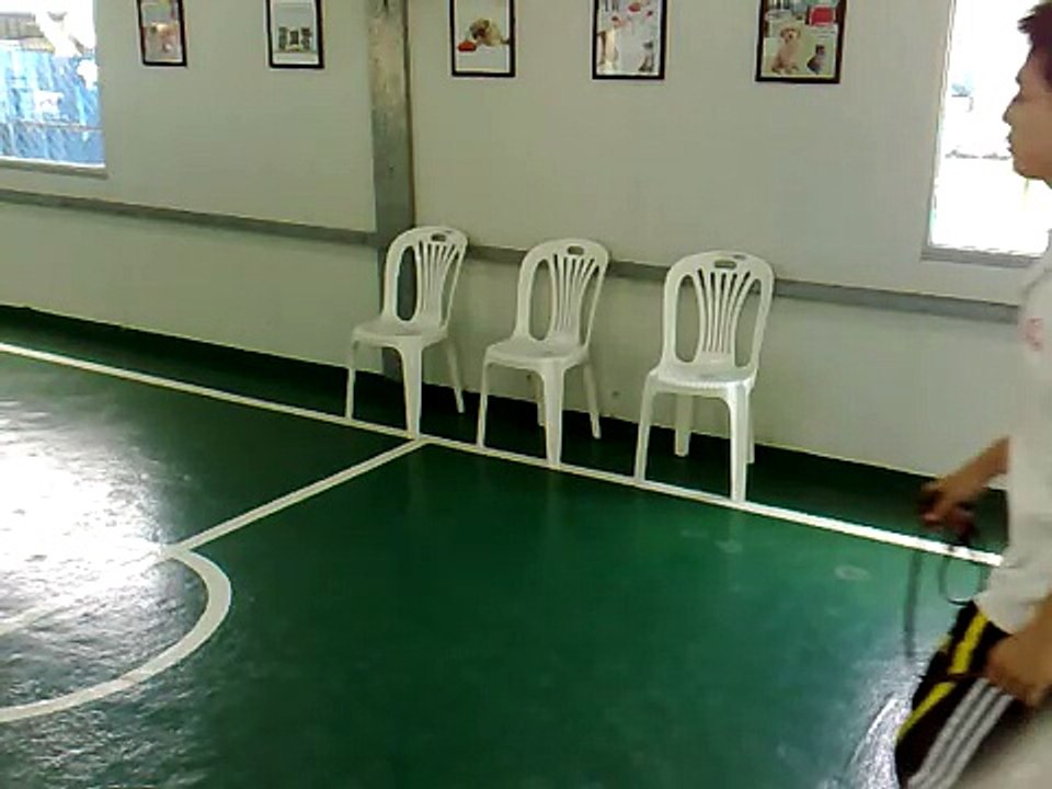 dog training,dog trainer,狗隻訓練,寄宿訓練,上門訓練,訓犬師,狗