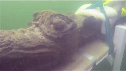Un navire danois du XVe siècle retrouvé dans les eaux suédoises