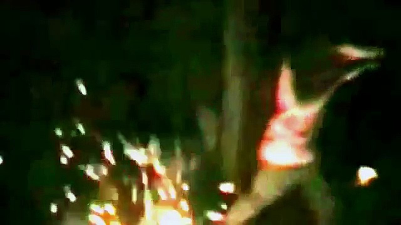 7 Demons Caught On Camera