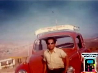 PICAFLOR DE LOS ANDES