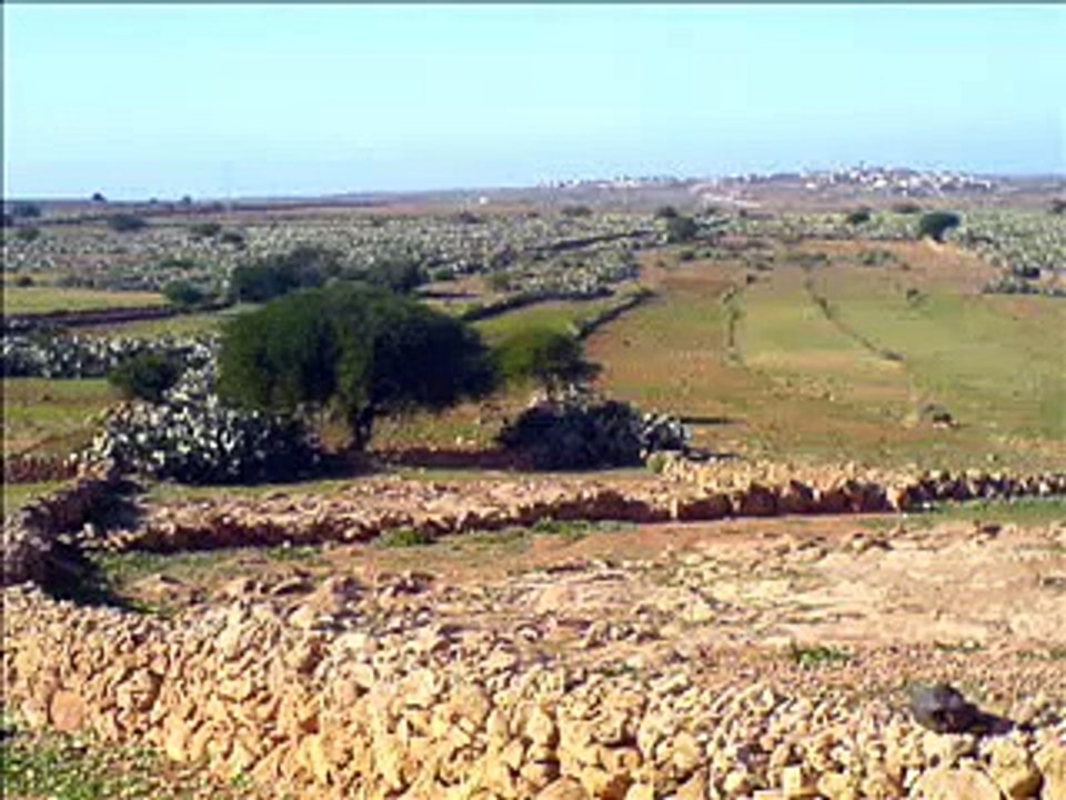 tamazirtino (ATDD) igurare ounamer sahel Tiznit  Maroc