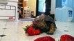 Myrtle the Turtle - Loves Strawberries