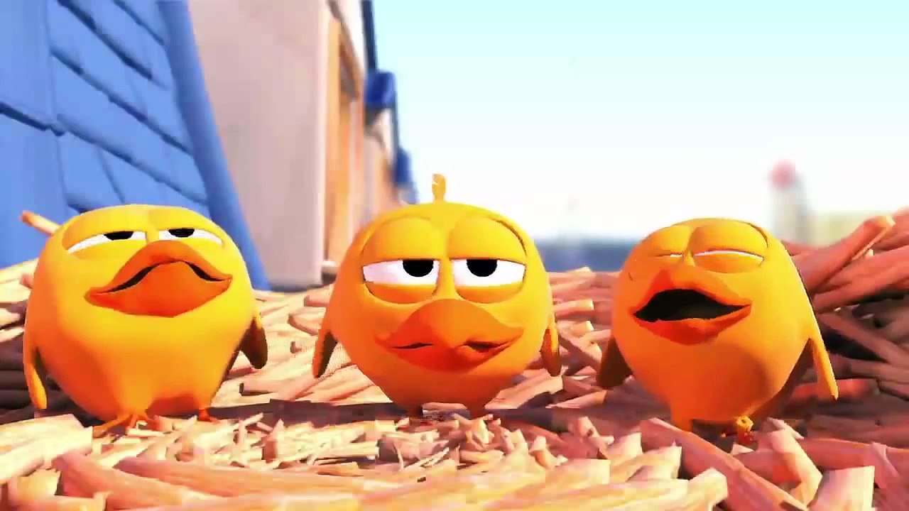 Pigeons   Cute animation cartoon