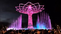 Expo Milano 2015: Albero della Vita, lo show di notte