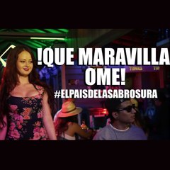 El país de la sabrosura (feria de las flores 2015)