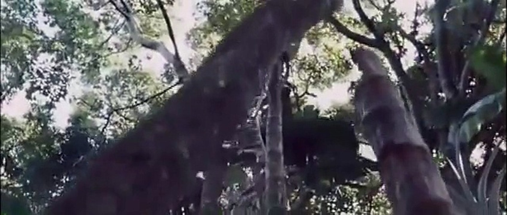 1968 Tunnel Rats Trailer