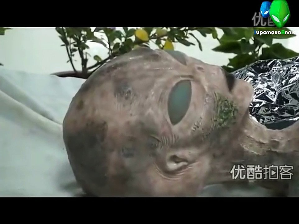 UFO Dead Alien Body In Hongkong - Incredible!