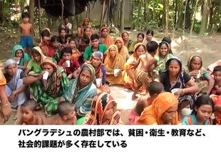 Grameen Uniqlo Social Business Partnership