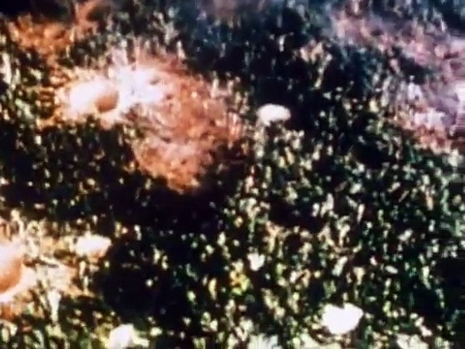 Carl Sagan - Cosmos - Global Changes
