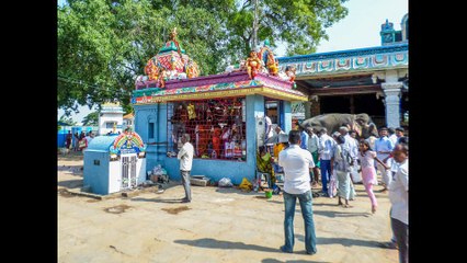 Voyage en Inde du Sud - partie N°3