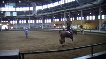 2009 Iowa Paint Horse Futurity Open Hunter Under Saddle
