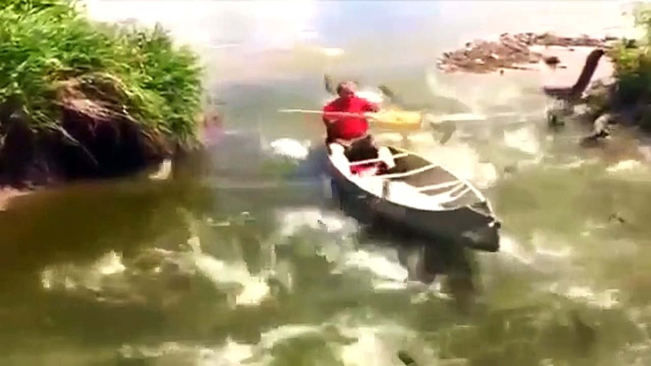 Fanny video , ПРИКОЛЫ 2015 ПОДБОРКА ЛУ  BEST JOKE VIDEOS 2015 SELECTION OF JOKES