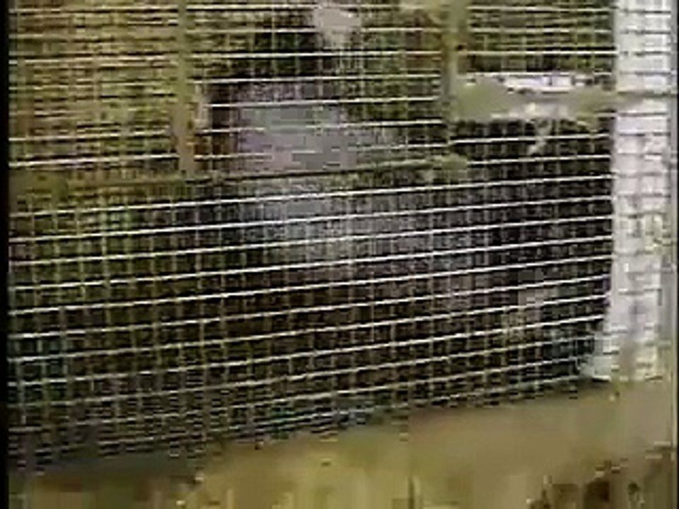 PETA fur farm investigation