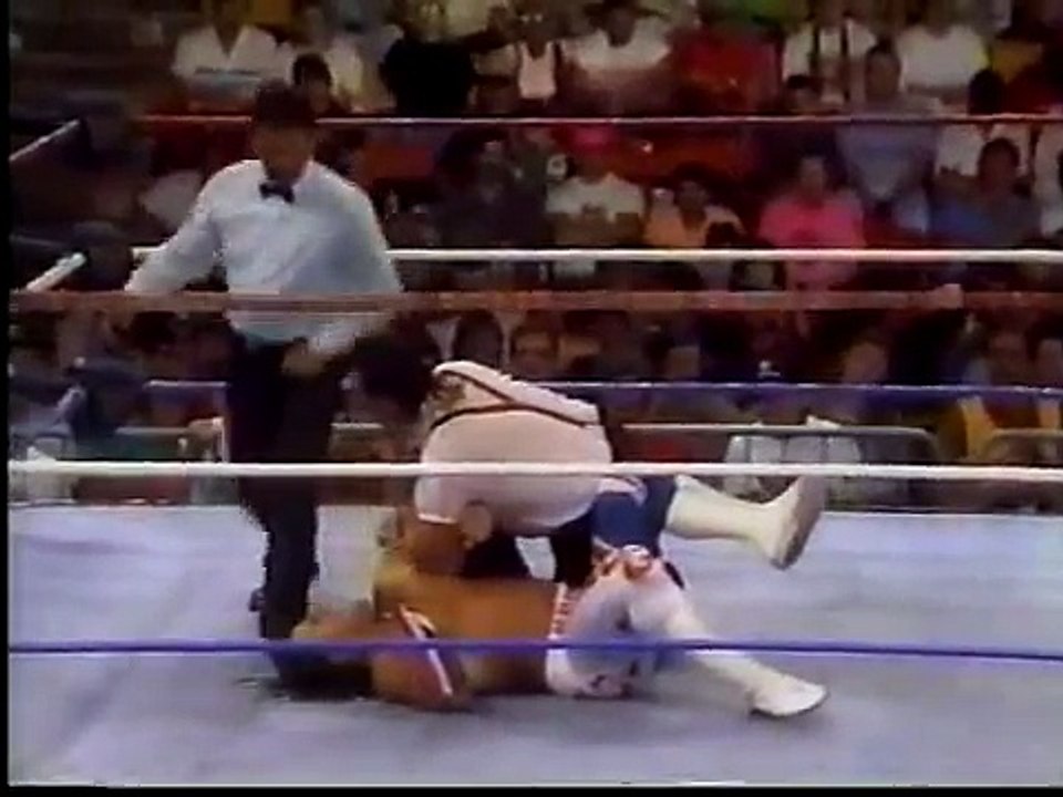 British Bulldog vs. Irwin R. Schyster (08-12-1991)
