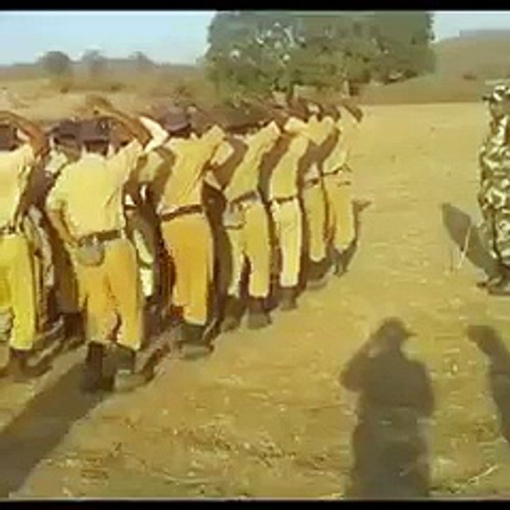 Funny Parade