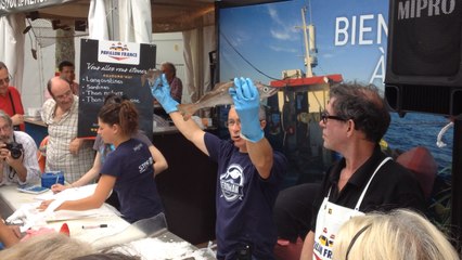 Vente à la Criée de port de Keroman