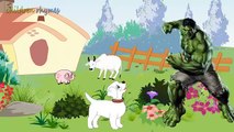 BINGO The Dog Song - Nursery Rhyme With Lyrics |  Cartoon Animation Rhymes