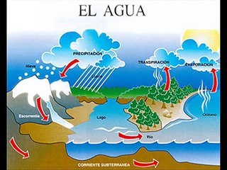 EL CICLO DEL AGUA