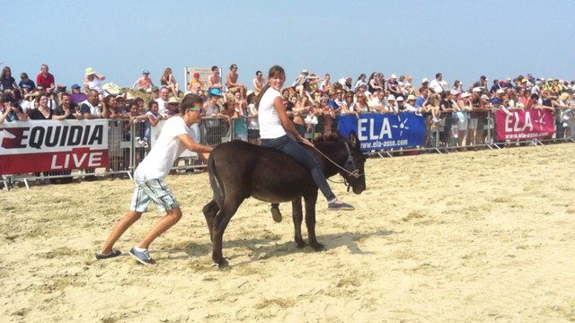 Succès pour la course d'ânes édition 2015