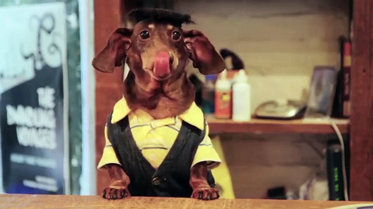 Dachshund's Creek