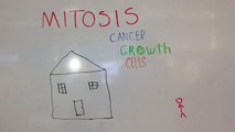 Cancer Growth Cells Biology Project
