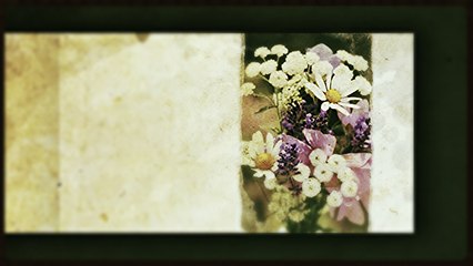 Vuka Mihajlovic i NO Zarka Milanovica - Bolna lezi dilber Tuta