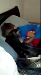 Reakcija mačke nakon što se dječak vratio kući