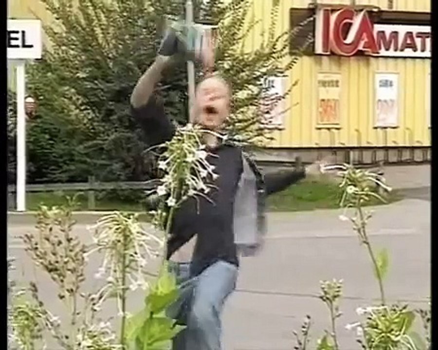 Ronny & Ragge del 2 part 1