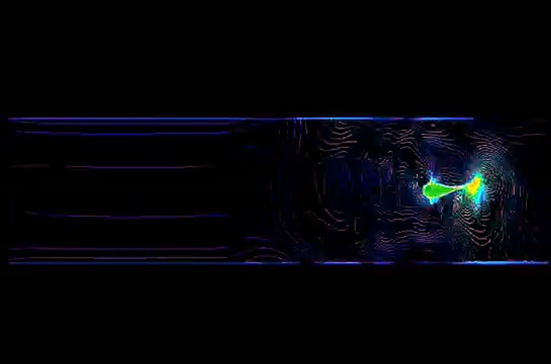 CFD dynamic mesh Animation fish test