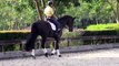 Ho Heit 6yr Hann. Dressage Mare For Sale