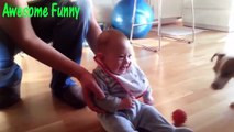 Funny Videos Funny Cats Funny Babies Laughing Funny Animals Videos Funny Dogs 2015