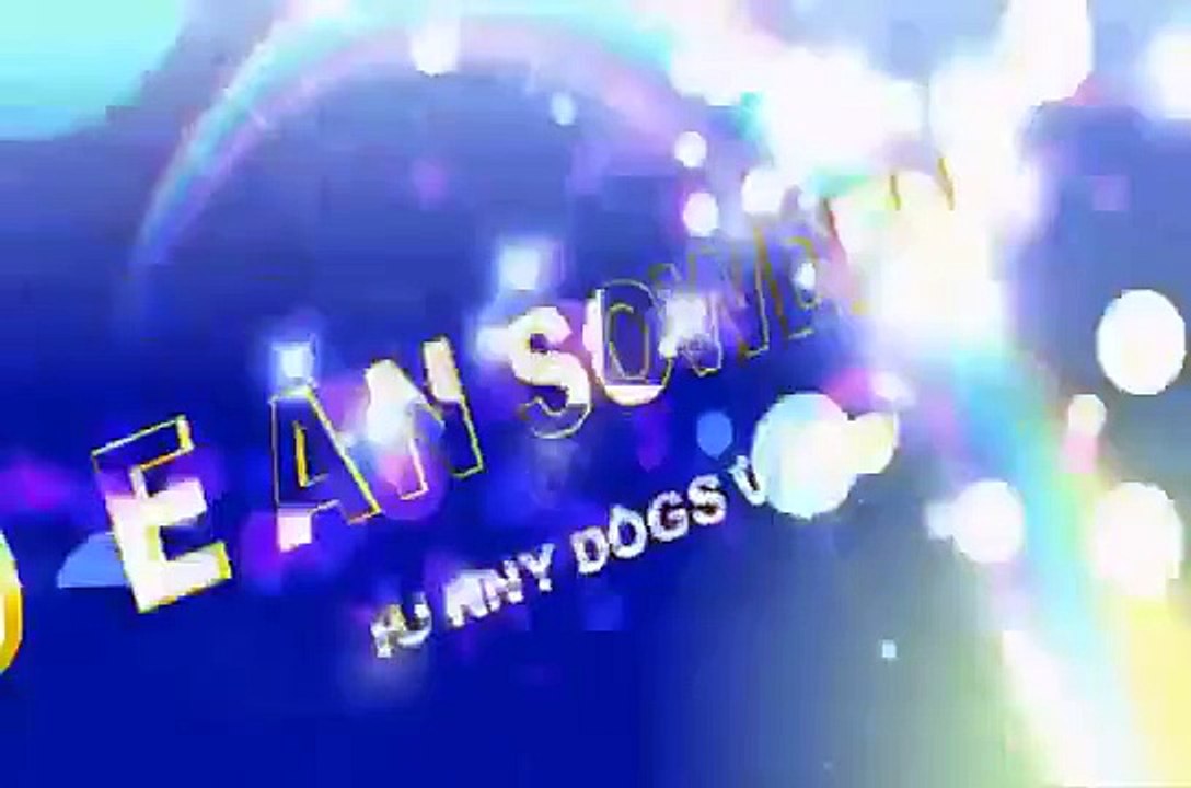 Funny Dog Video  Dog and Cat has real Sex!!   funny animals mp4