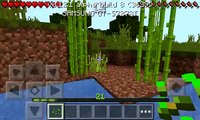 Minecraft Pe : Como Colocar Nome em Mobs (SEM MODS)