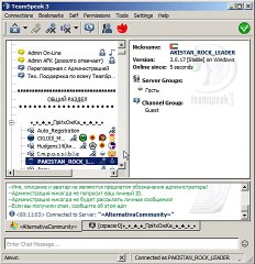 Guide to Using TeamSpeak