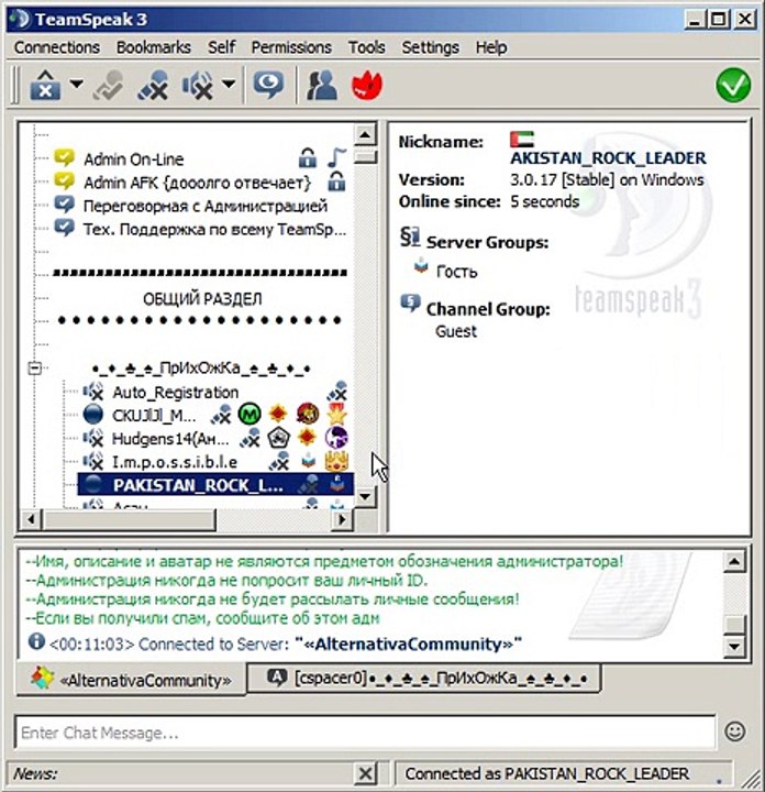 how to use team speak