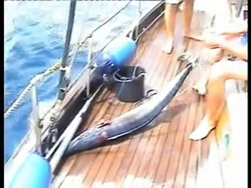 Oceano Pacifico Navigazione e pesca 2008