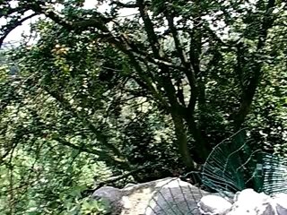 BUTTES CHAUMONT