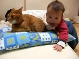 Bebek Kedinin Kuyruğunu Isırıyor