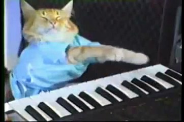 Play her off, keyboard cat!