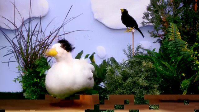 DuckTales Theme Song With Real Ducks