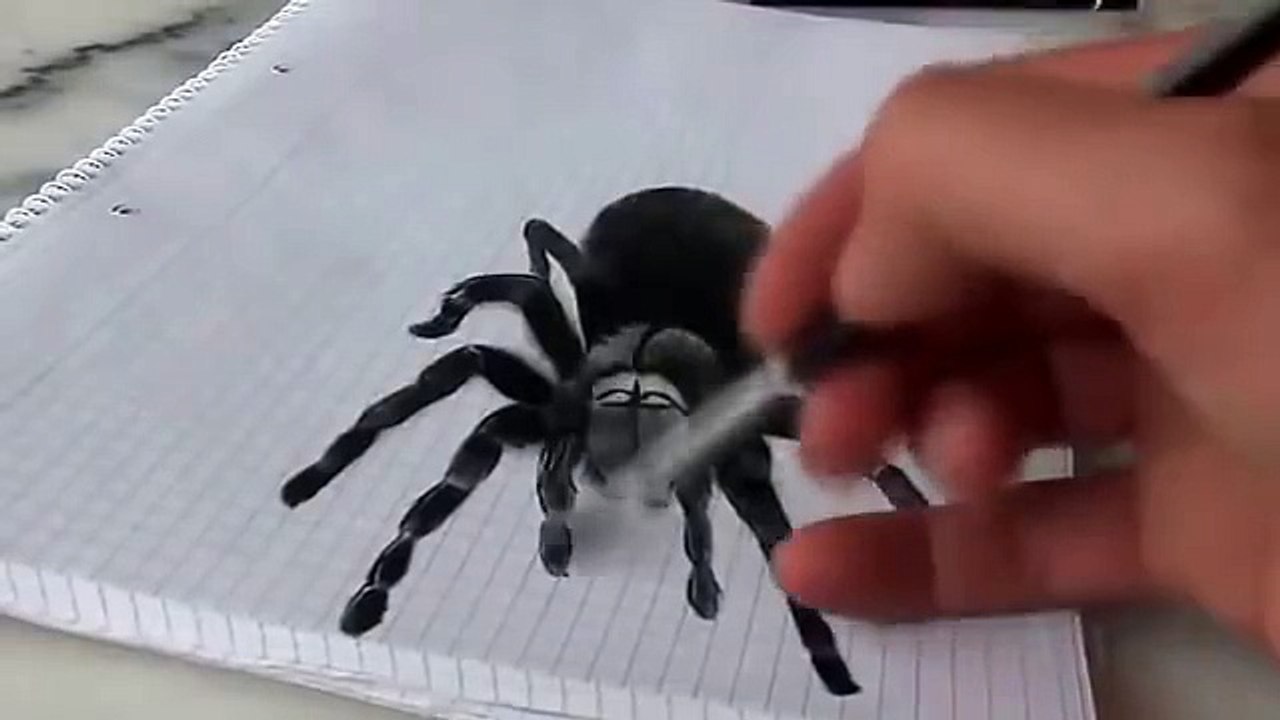 3-Dimensional Spider Drawing