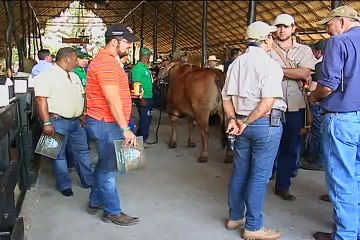 10 de agosto de 2015 Día de campo El Cucharo web