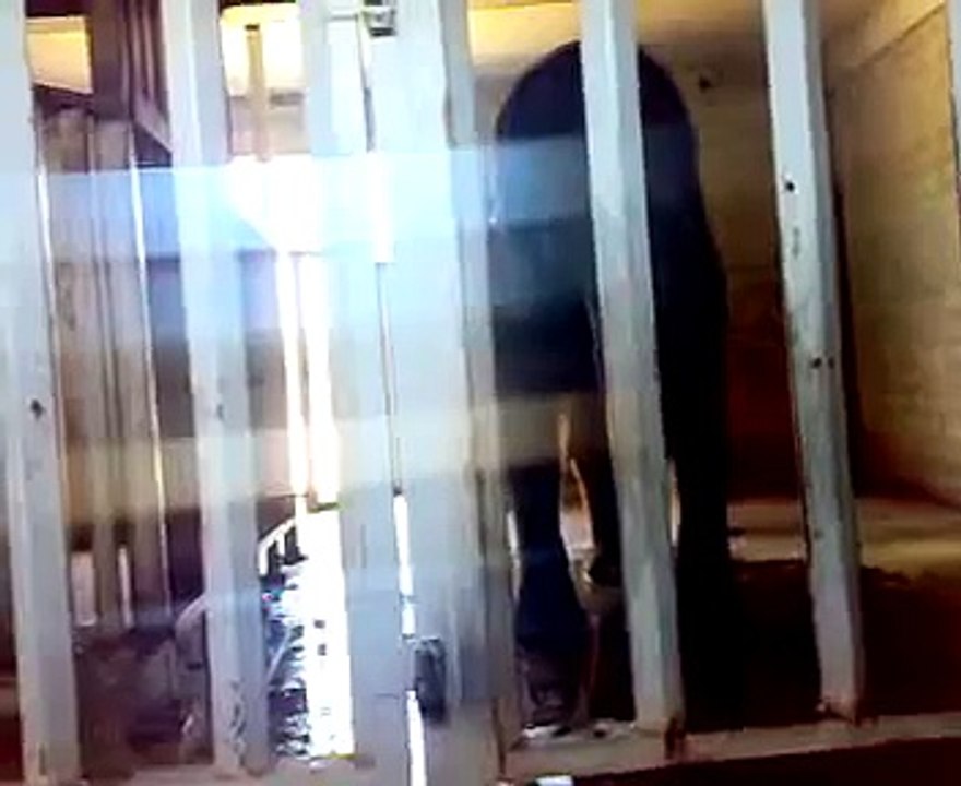 مقلب فيل لايفوتكم (نصيحه لاحد يمزح مع فيل